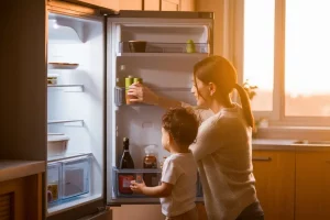 como-tirar-cheiro-de-podre-da-geladeira