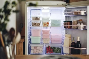 caixa-organizadora-para-geladeiras